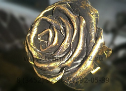 ���� �������, ��.